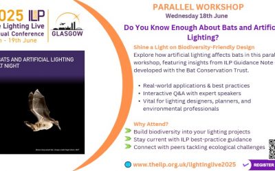 Do you know enough about Bats and Artificial lighting?